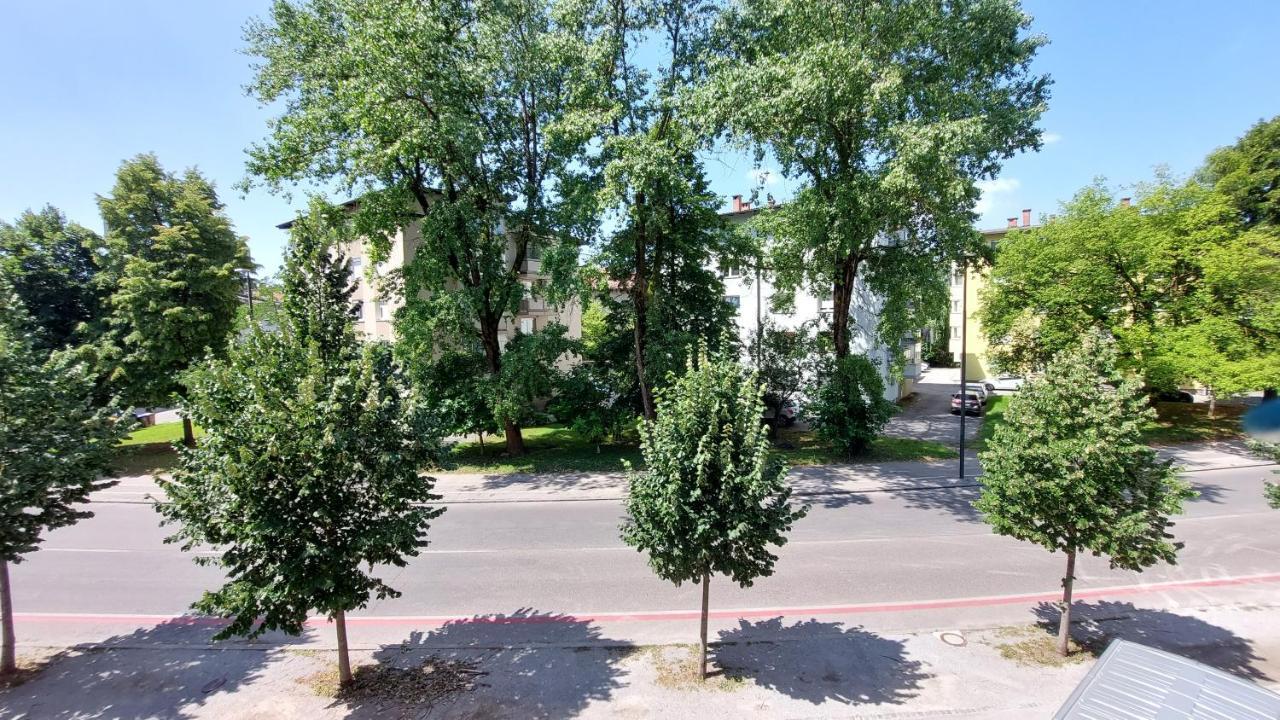 Cozy, Bright And Affordable Studio W/ Free Parking Ljubljana Eksteriør billede